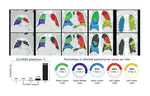 Automated Assessment of COVID-19 Reporting and Data System and Chest CT Severity Scores in Patients Suspected of Having COVID-19 Using Artificial Intelligence